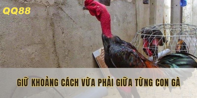 Tránh xung đột thường xuyên gây sát thương